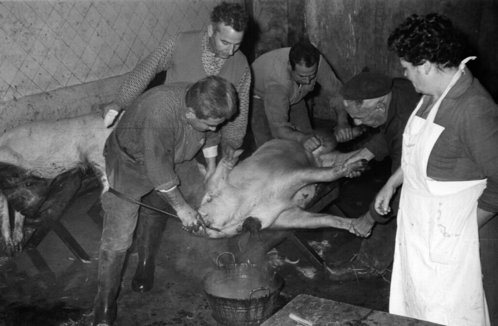 Matança del porc a l'escorxador de la plaça Artigues