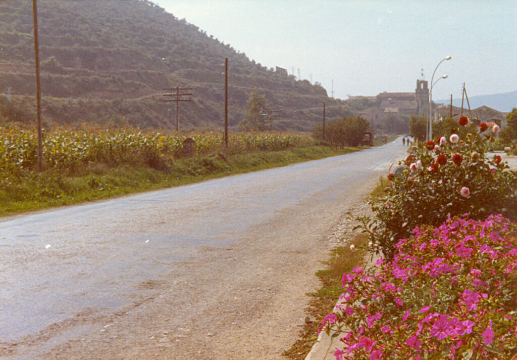 La carretera de la Seu amb l'església al fons